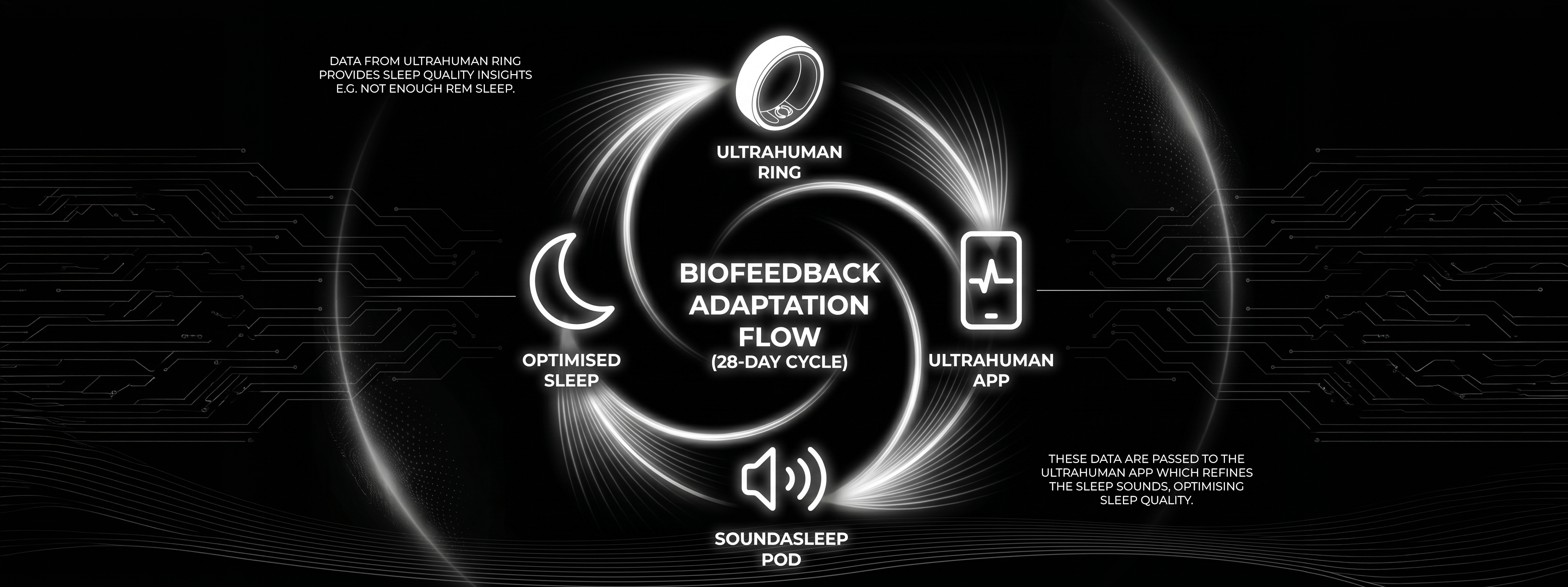 Biofeedback Infographic
